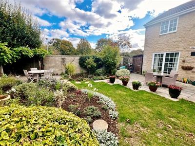 garden 3.jpg